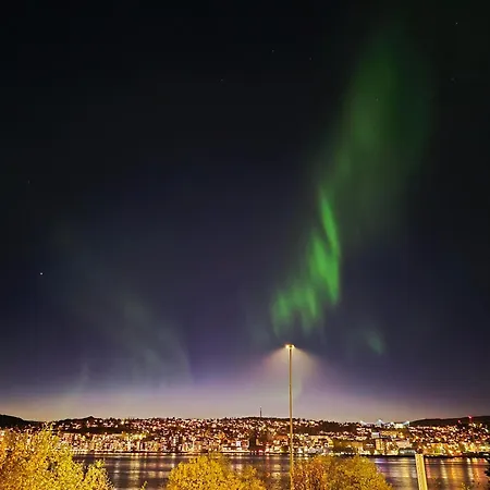 Fjellheisen L Amazing Sea & Mountain View Lägenhet *