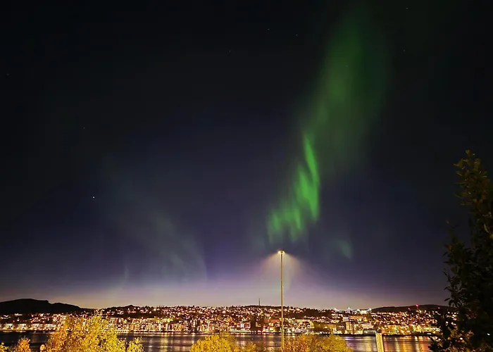 Fjellheisen L Amazing Sea & Mountain View Lägenhet *